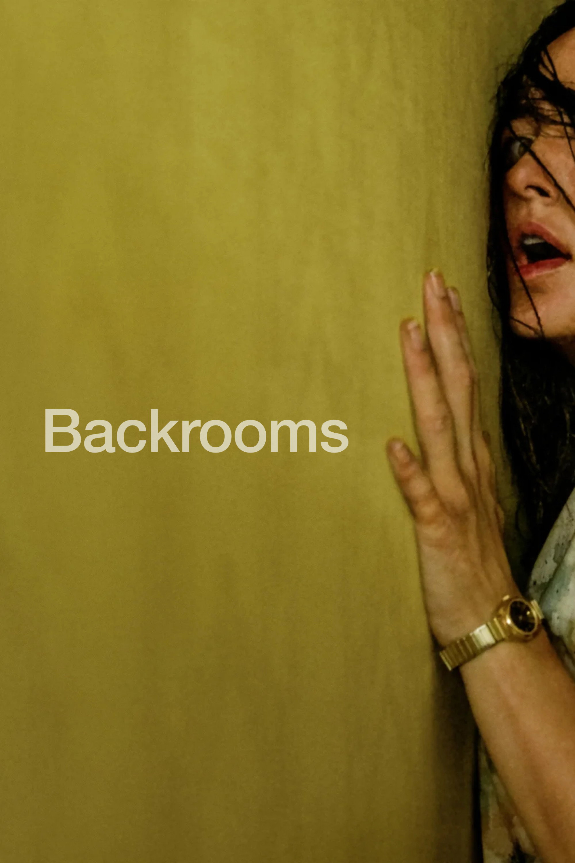 Pôster do filme Backrooms: Um Não-Lugar